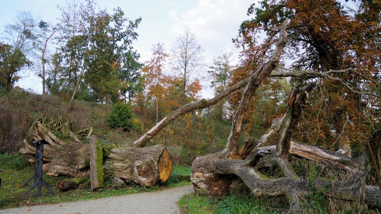 Palac Komierowo Sępólno Krajeńskie Exteriér fotografie